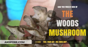 Freezing Hen of the Woods Mushrooms: Tips for Long-Term Storage