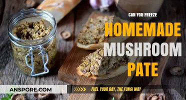 Freezing Homemade Mushroom Pate: Tips for Preserving Your Delicious Spread