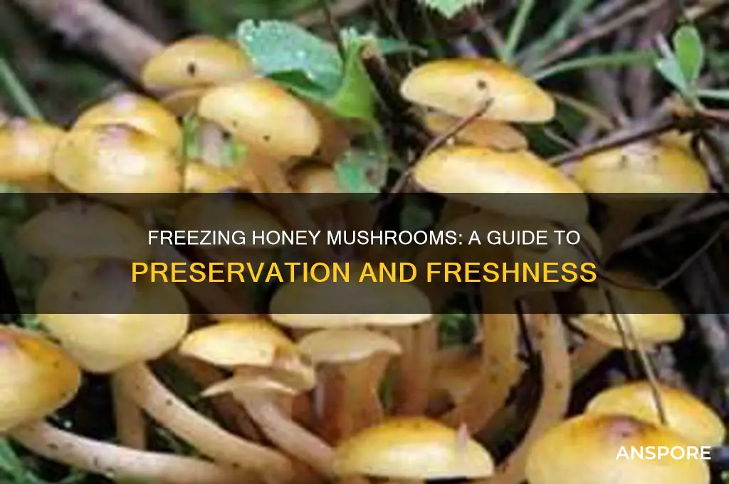 can you freeze honey mushrooms