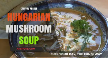 Freezing Hungarian Mushroom Soup: Tips for Preserving Flavor and Texture