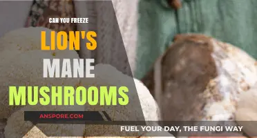 Freezing Lion's Mane Mushrooms: A Guide to Preservation and Freshness