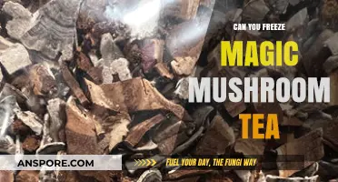 Freezing Magic Mushroom Tea: Preservation Tips and Effects Explained