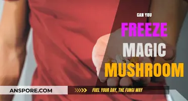 Freezing Magic Mushrooms: Preservation Tips and Potential Effects Explained