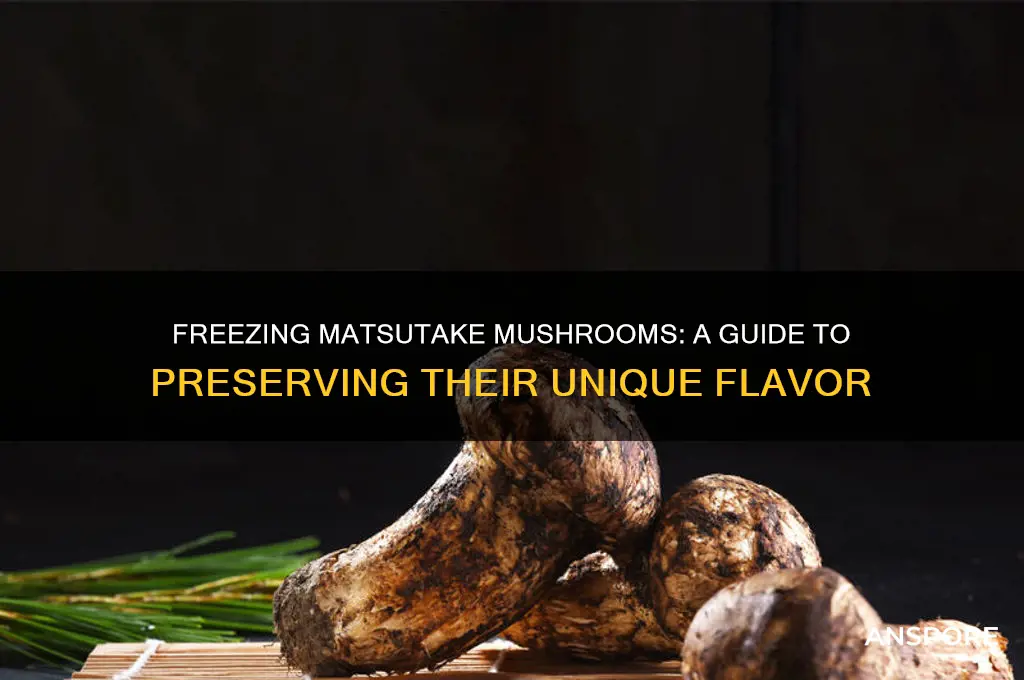 can you freeze matsutake mushrooms