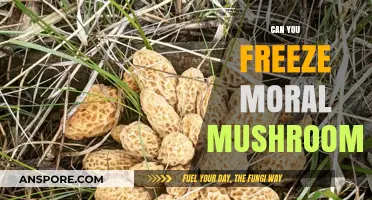 Freezing Morel Mushrooms: Preservation Tips and Best Practices