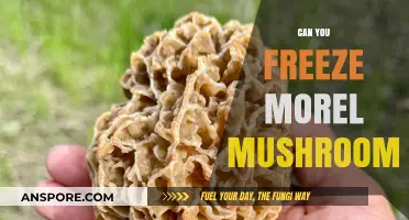 Freezing Morel Mushrooms: A Guide to Preserving Their Unique Flavor