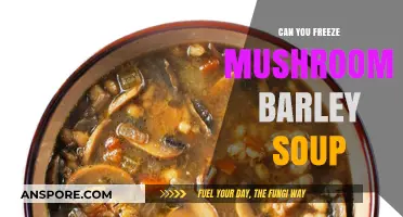 Freezing Mushroom Barley Soup: Tips for Perfect Storage and Reheating