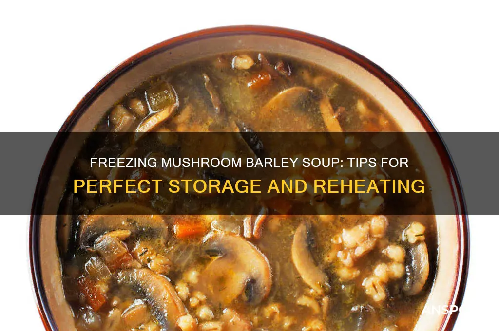 can you freeze mushroom barley soup
