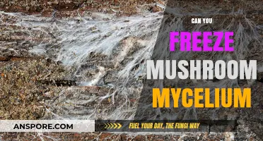 Freezing Mushroom Mycelium: Preservation Techniques and Long-Term Storage Tips