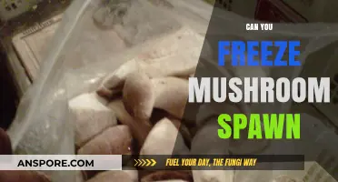 Freezing Mushroom Spawn: A Guide to Preservation and Storage Tips