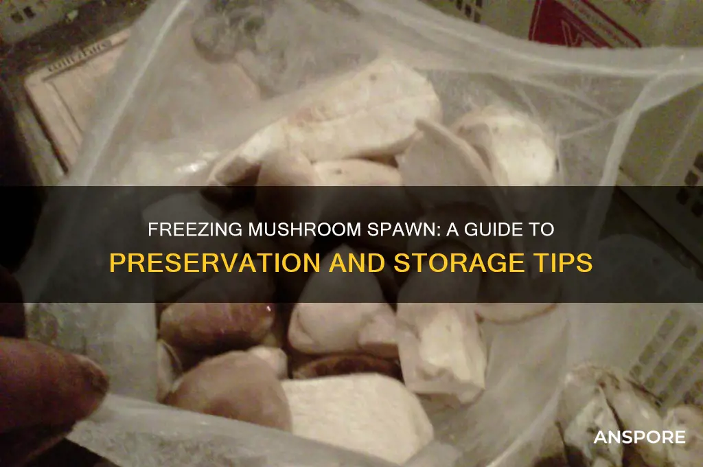 can you freeze mushroom spawn