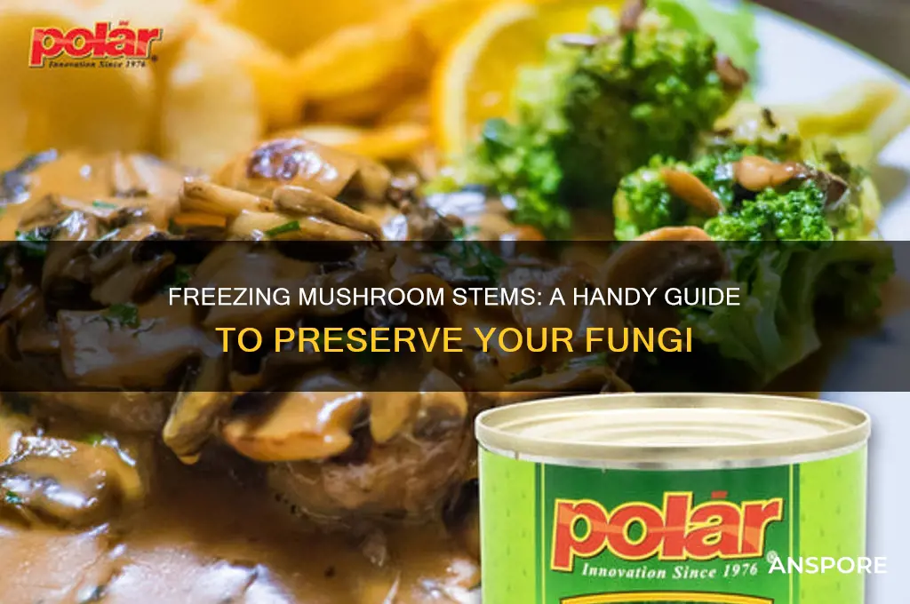 can you freeze mushroom stems