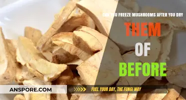 Freezing Mushrooms: Should You Dry Before or After Freezing?
