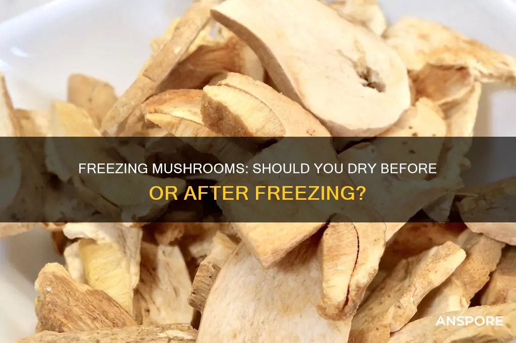 can you freeze mushrooms after you dry them of before