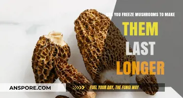 Freezing Mushrooms: A Simple Trick to Extend Their Freshness