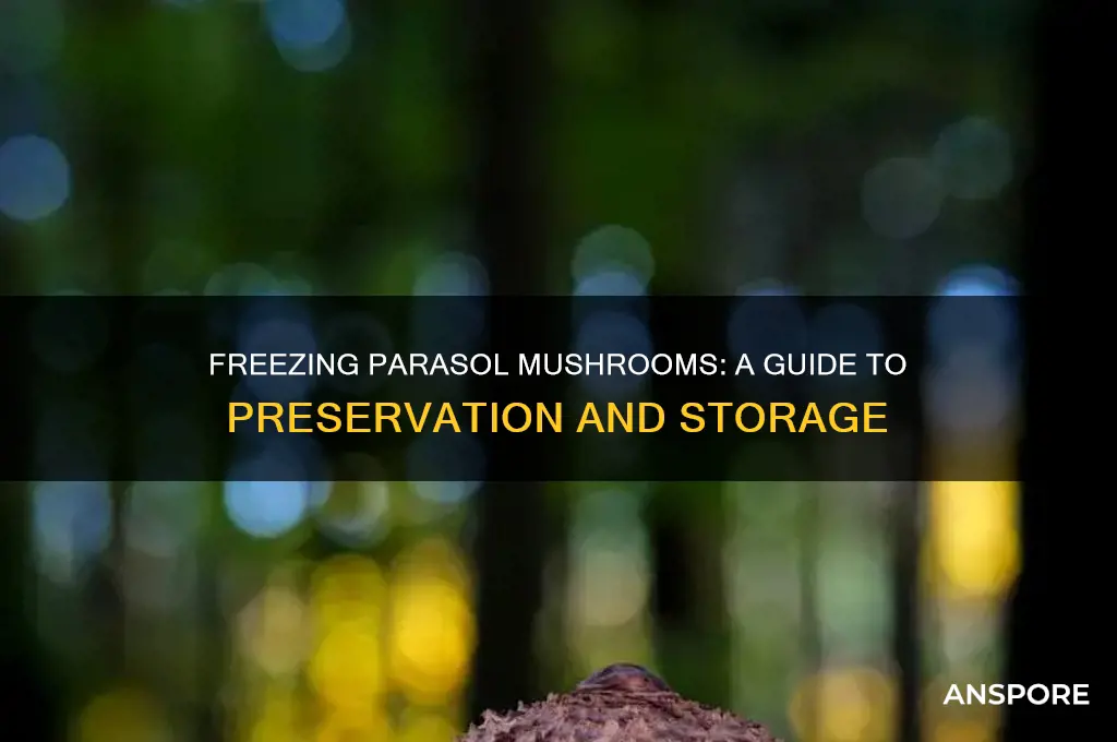 can you freeze parasol mushrooms