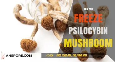 Freezing Psilocybin Mushrooms: Preservation Tips and Long-Term Storage Guide
