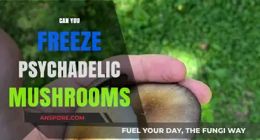 Freezing Psychedelic Mushrooms: Preservation Tips and Potential Risks Explained