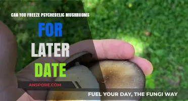 Freezing Psychedelic Mushrooms: Preserving Potency for Future Exploration