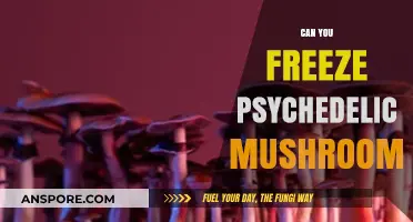 Freezing Psychedelic Mushrooms: Preservation Tips and Potential Risks Explained
