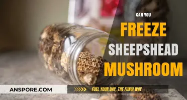 Freezing Sheepshead Mushrooms: A Guide to Preservation and Storage