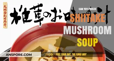 Freezing Shiitake Mushroom Soup: Tips for Preserving Flavor and Texture