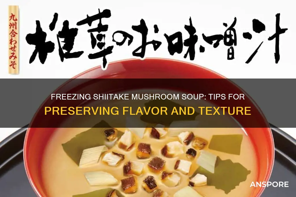 can you freeze shiitake mushroom soup
