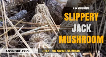 Freezing Slippery Jack Mushrooms: Tips for Preserving Their Flavor and Texture