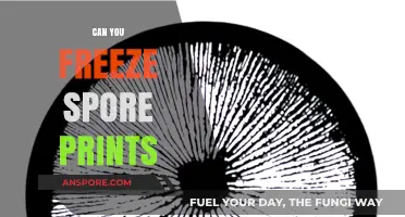 Freezing Spore Prints: Preservation Techniques and Long-Term Storage Tips