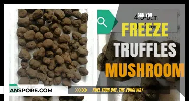 Freezing Truffles: A Guide to Preserving Your Precious Mushroom Delicacy