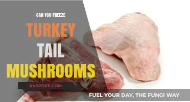 Freezing Turkey Tail Mushrooms: Preservation Tips and Best Practices