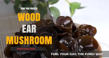 Freezing Wood Ear Mushrooms: A Complete Guide to Preservation and Storage