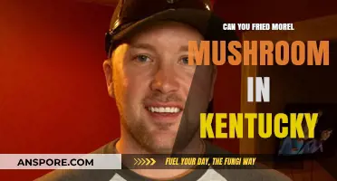 Frying Morel Mushrooms in Kentucky: Tips and Best Practices