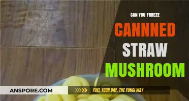 Freezing Canned Straw Mushrooms: A Complete Guide to Preservation