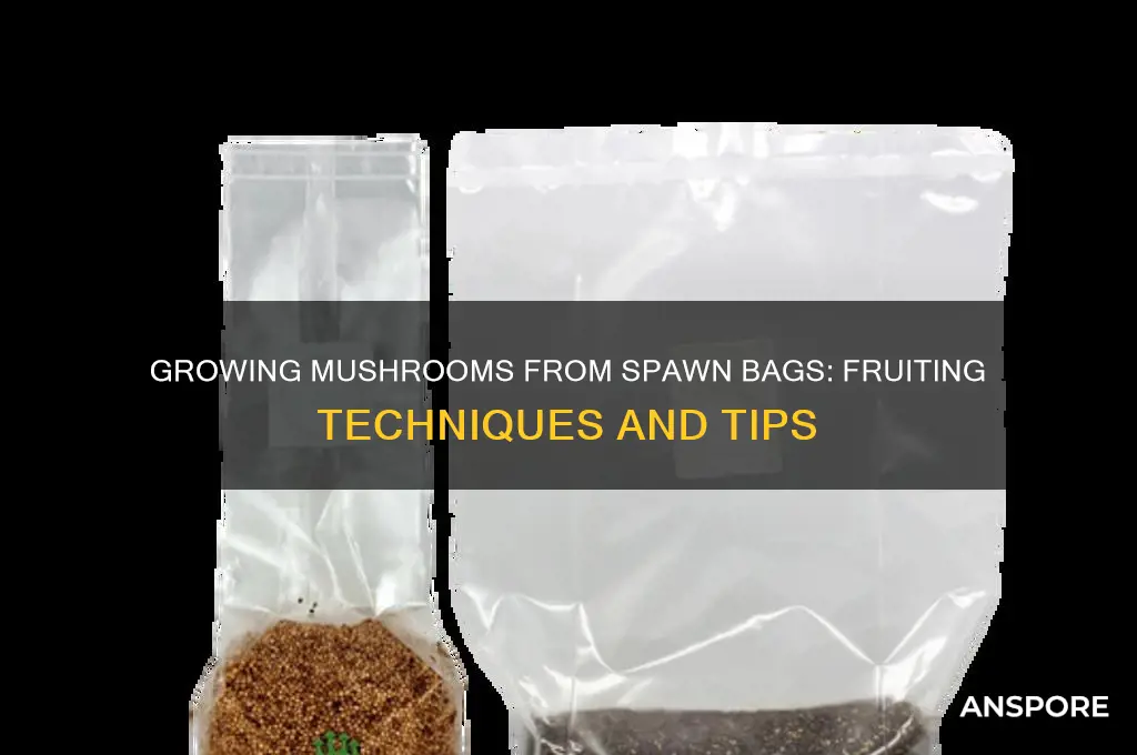 can you fruit mushrooms from a spawn bag
