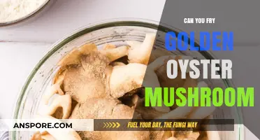Crispy Delight: Frying Golden Oyster Mushrooms for a Perfect Crunch
