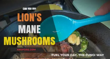 Frying Lion's Mane Mushrooms: Tips, Benefits, and Crispy Perfection