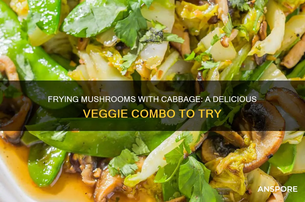 can you fry mushrooms with cabbage