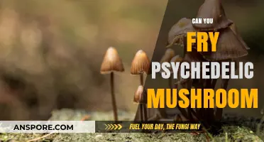 Frying Psychedelic Mushrooms: Risks, Effects, and Legal Considerations Explained