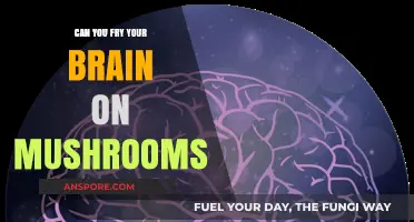 Can Mushrooms Fry Your Brain? Debunking Psychedelic Myths and Facts