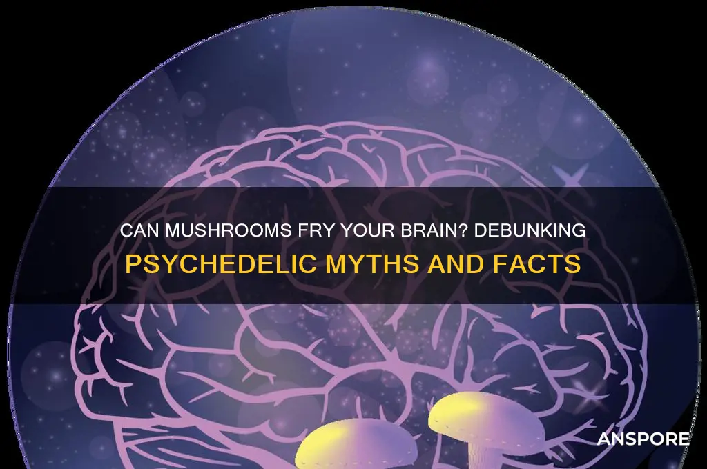 can you fry your brain on mushrooms