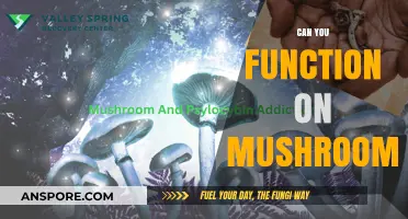 Functioning on Mushrooms: Exploring Effects, Risks, and Real-Life Impacts