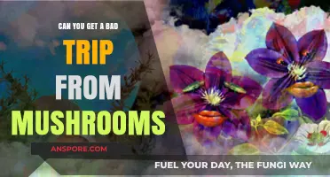 Mushroom Trips Gone Wrong: Understanding the Risks of a Bad Experience