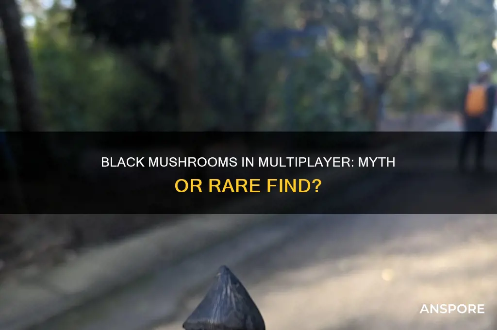 can you get a black mushroom in multiplayer