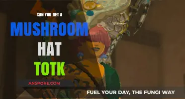 Crafting the Mushroom Hat in TotK: A Complete Guide