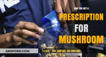 Exploring Psilocybin Prescriptions: Can You Legally Obtain Magic Mushrooms?