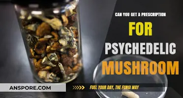 Prescription Psychedelic Mushrooms: Legal Access and Medical Potential Explored