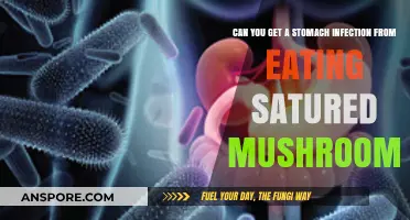 Stomach Infections and Saturated Mushrooms: Risks and Prevention Tips