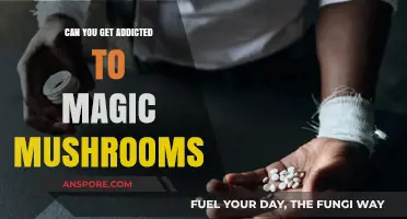 Magic Mushrooms Addiction: Unraveling the Truth Behind Psilocybin Dependence