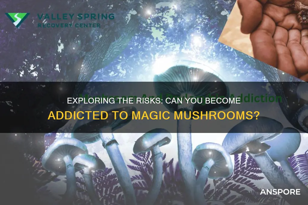 can you get addicted to mushroom